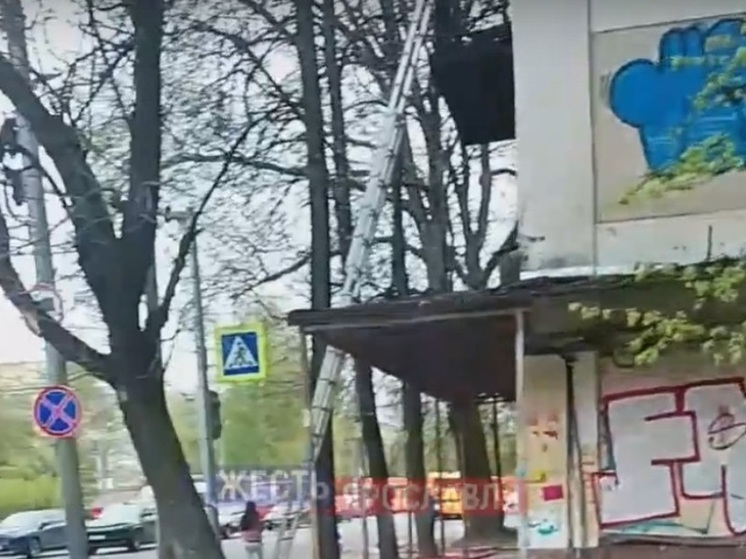 Полумарафон золотое кольцо. Фото полицейского. Ярославль 5 июня. Ярославль 5 июня. Ярославский полумарафон медаль.