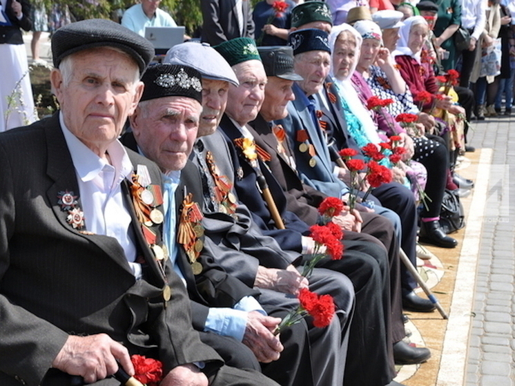 В Татарстане число ветеранов ВОВ и их вдов за 5 лет снизилось втрое
