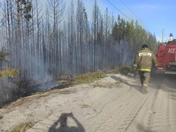 В Бурятии локализован  лесной пожар около поселка Таксимо на БАМе
