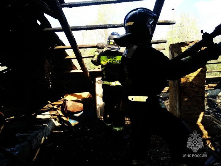 Крыша сгорела в жилом доме в гдовской деревне 5 мая