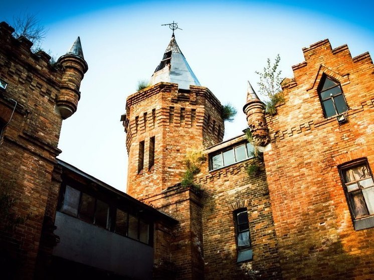 В Васильевке восстановят легендарный замок Попова