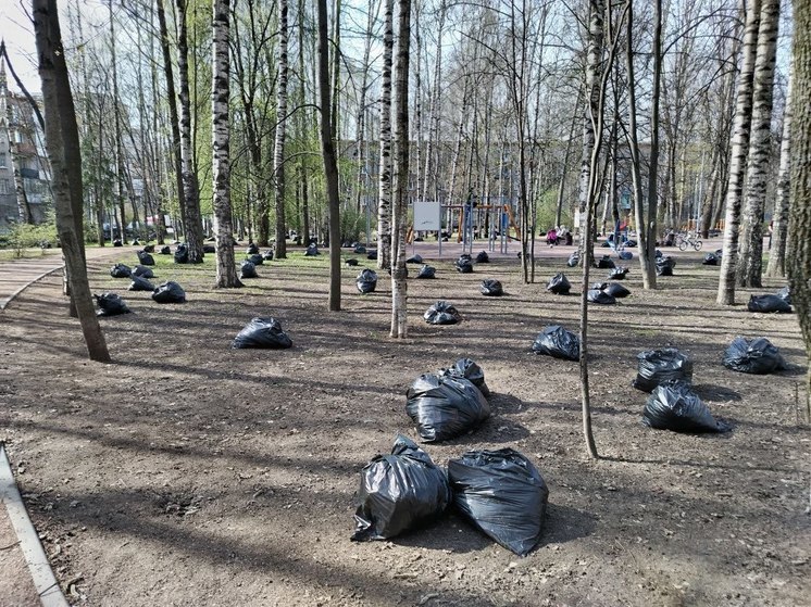 В Ленобласти продлили месячник чистоты и благоустройства