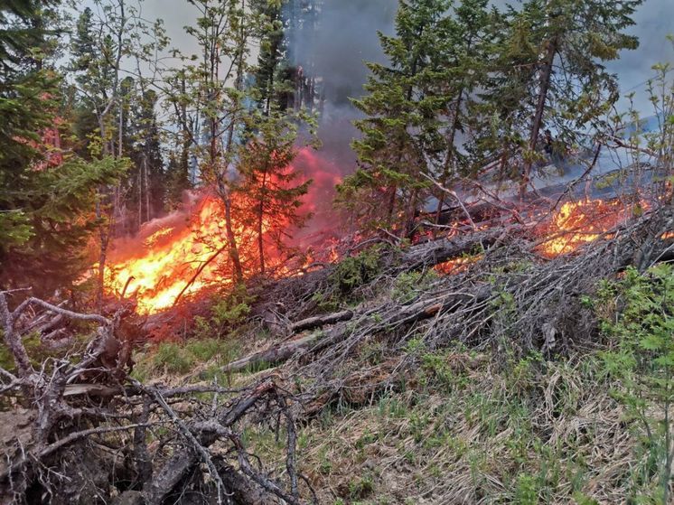 В Хакасии за шесть часов локализовали сложный лесной пожар