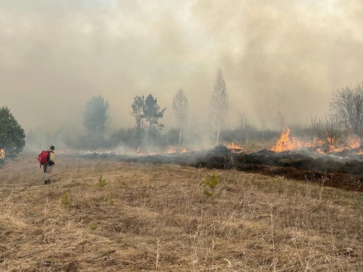  17 лесных пожаров потушено в Иркутской области за сутки