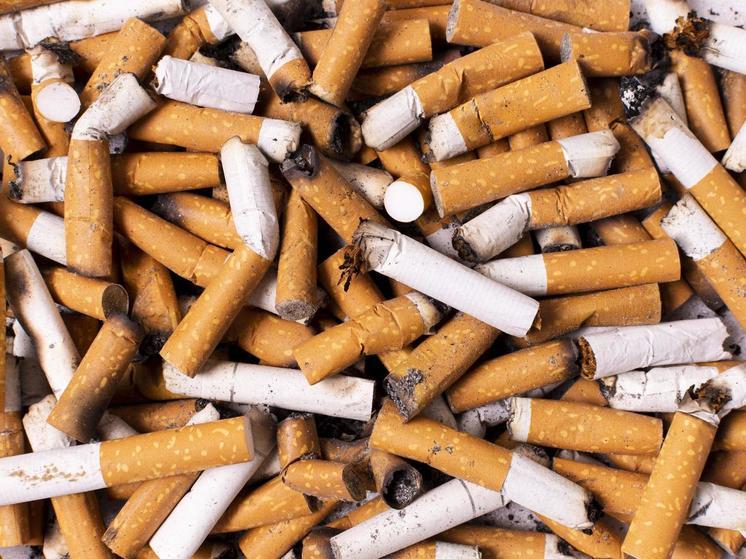 За контрафактный табак в Брянском районе будут судить 15 человек