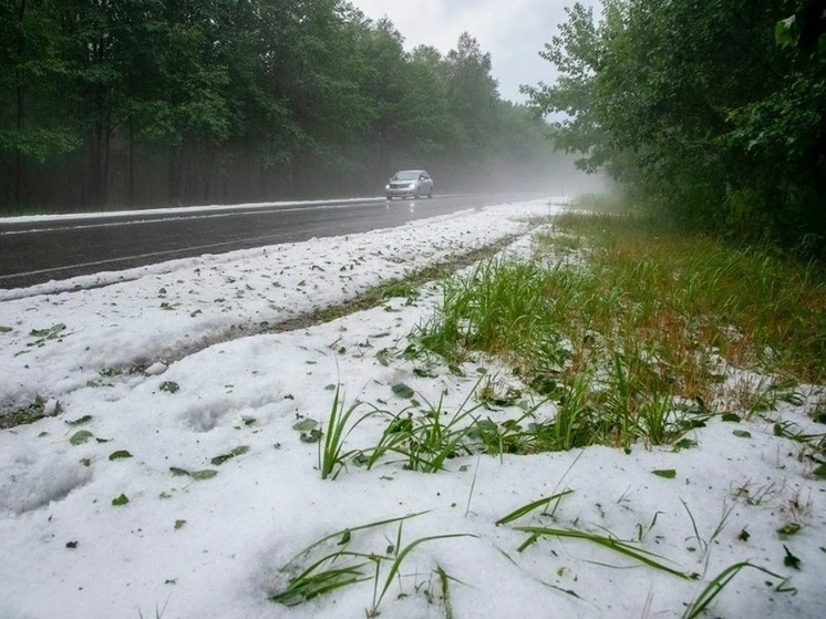 В Ярославль может прийти снежный шторм