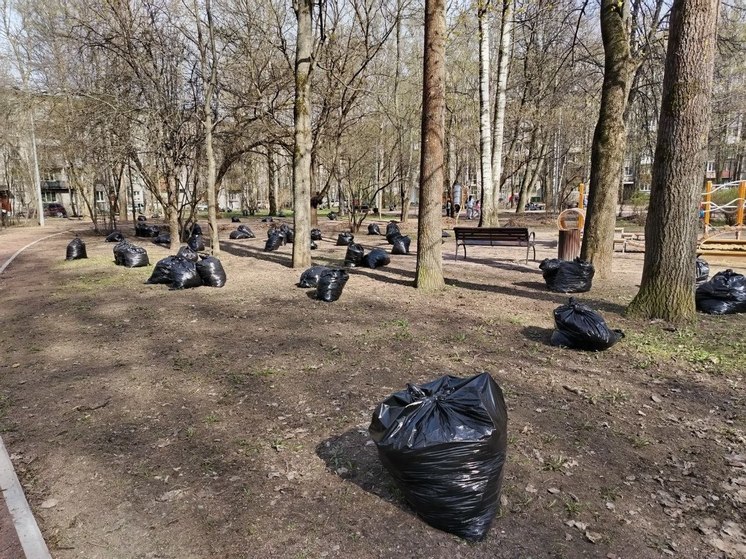 Петербург освободили от 1,3 тысячи кубометров мусора с начала мая