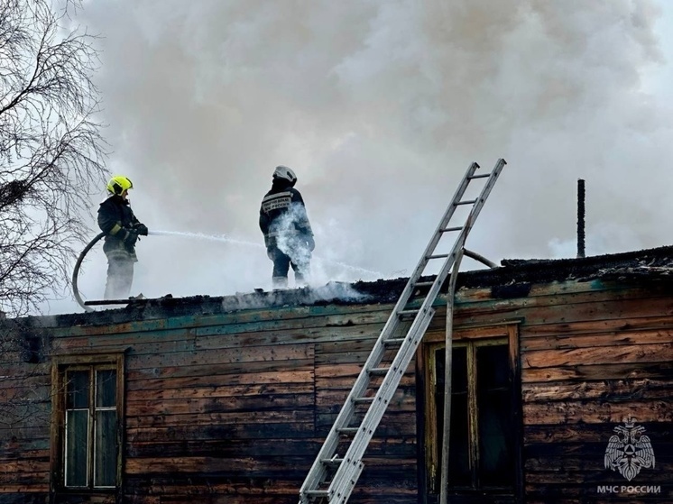 Горящее здание на улице Павлова в Мурманске тушили 16 пожарных