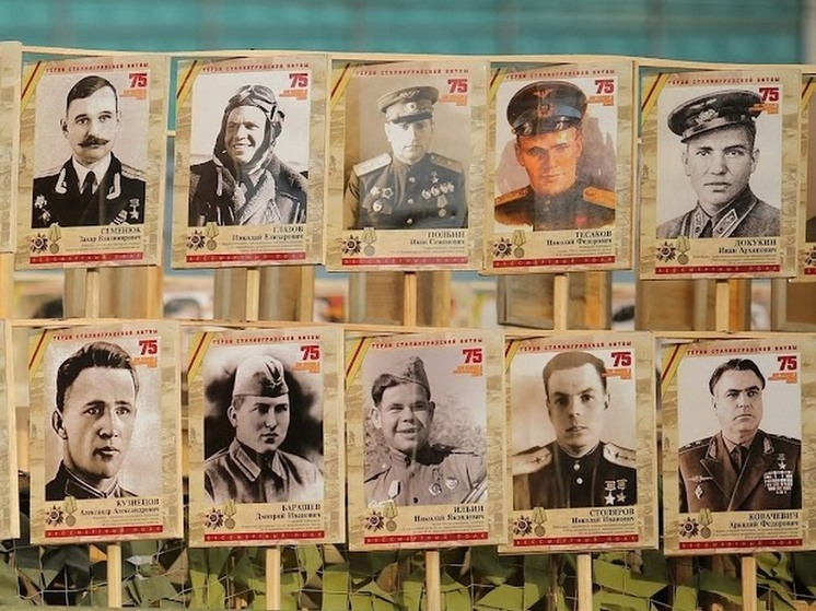 В Волгоградской области истории ветеранов собирают в спецпроект