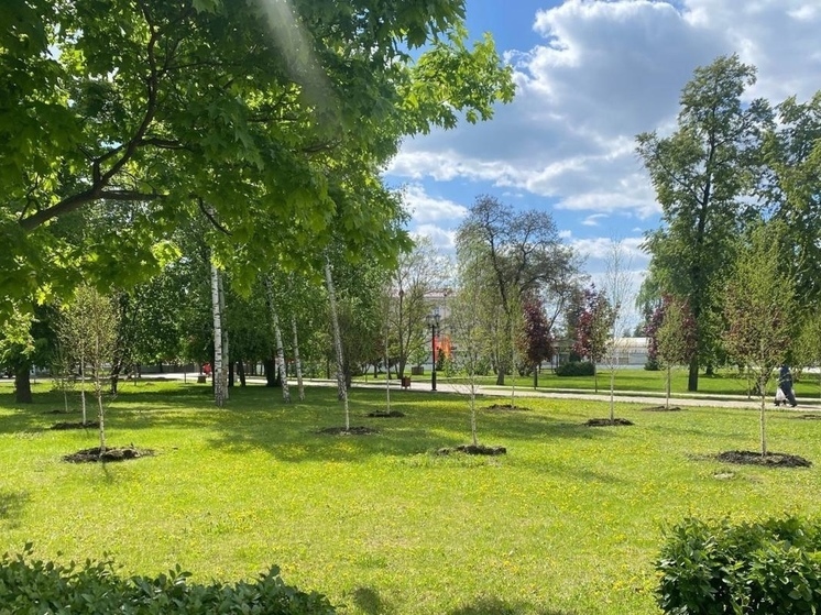 Парк культуры и отдыха Тамбова украсили более 30 молодых деревьев