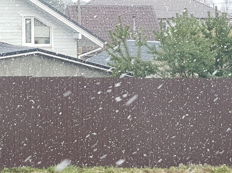 Мокрый снег накроет Карелию 7 мая