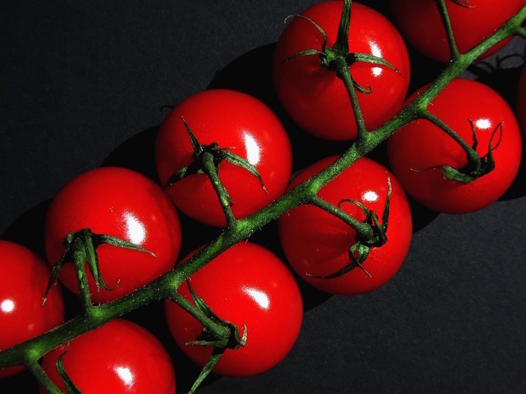 Дачникам рассказали, как высадить томаты, чтобы они быстро прижились