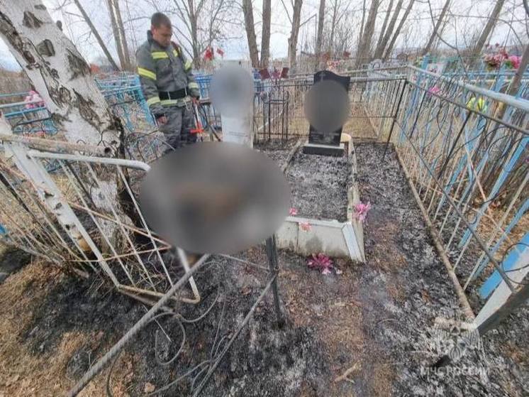Мужчина заживо сгорел на кладбище в Забайкалье