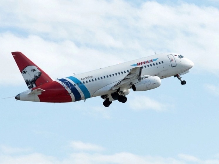 Самолет АК «Ямал» столкнулся с птицей при посадке в Сочи