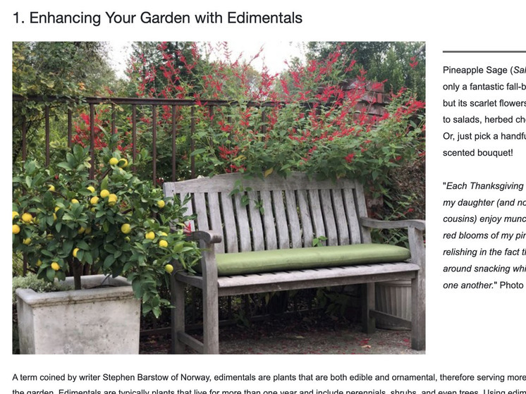 Названы главные тенденции в садовом дизайне 2024 года