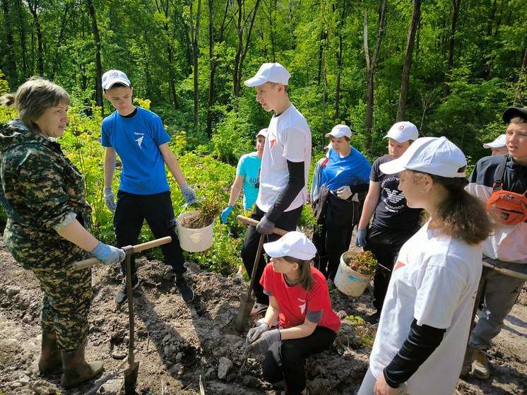 Школьники Курской области приняли участие в акции «Сад Памяти»