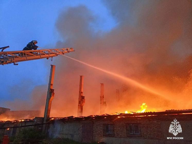 В Смоленске ликвидирован серьёзный пожар на кирпичном производстве
