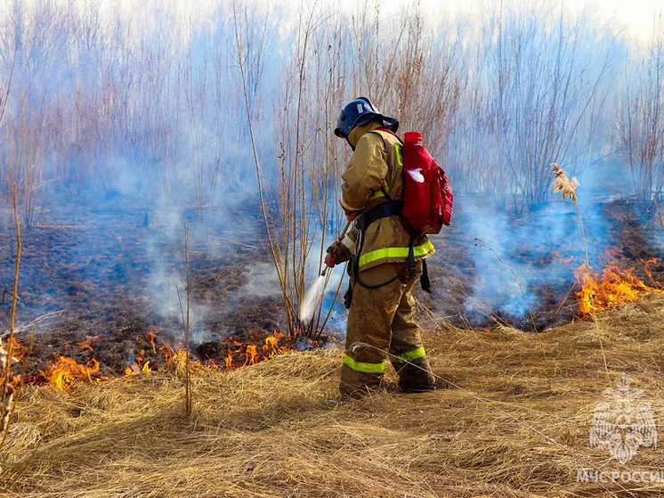 В Якутске на Зеленом лугу ликвидировали возгорание сухой травы