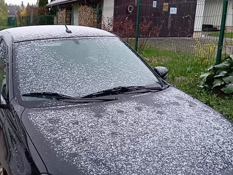 В Подмосковье пришли снегопады и заморозки