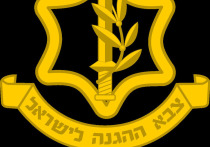 Армия обороны Израиля (ЦАХАЛ) официально сообщила, что в восточной части города Рафах началась контртеррористическая операция