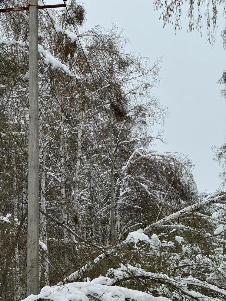 Уральский поселок несколько дней живет без света из-за упавших на ЛЭП деревьев