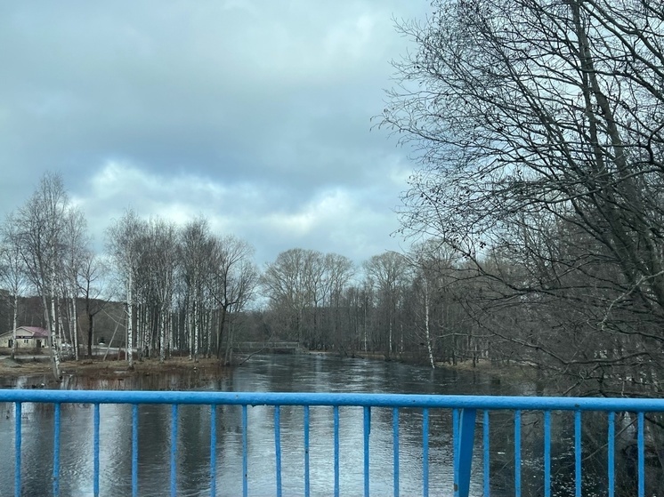 Уровень воды в реке Кумса в Медвежьегорске начал спадать