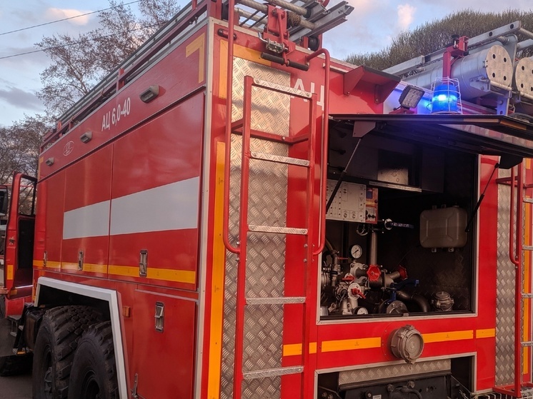 Женщину и ее кошку спасли огнеборцы на пожаре в Вологде