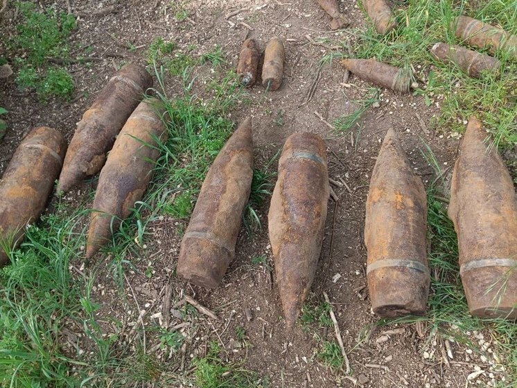Мину и снаряды времен ВОВ нашли в Гулькевичском районе. ВИДЕО