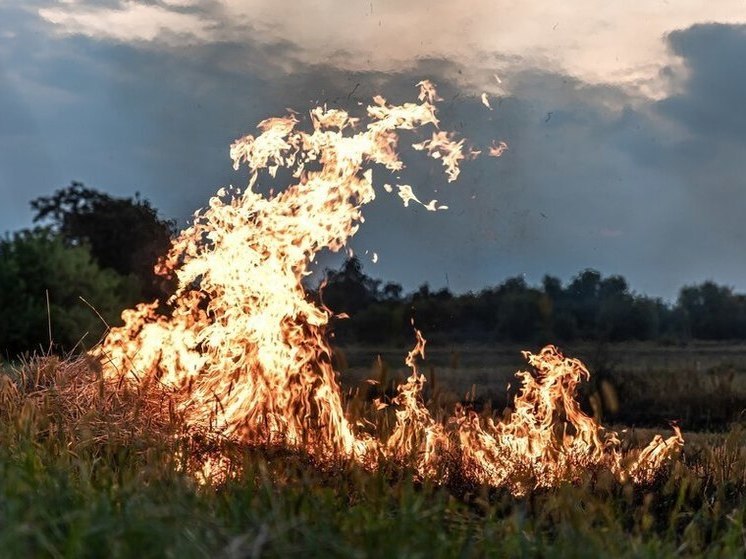 Свыше 2000 пожаров произошло в Алтайском крае с начала года