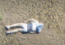 Госпогранслужба Украины сообщила об очередном случае обнаружения в реке Тиса на границе с Румынией тела утонувшего человека
