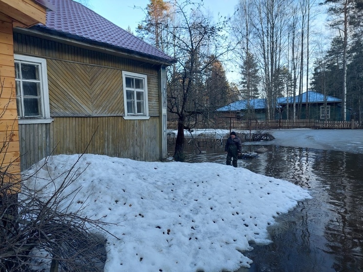 Брошенный в затопленном доме житель Карелии пожаловался в прокуратуру