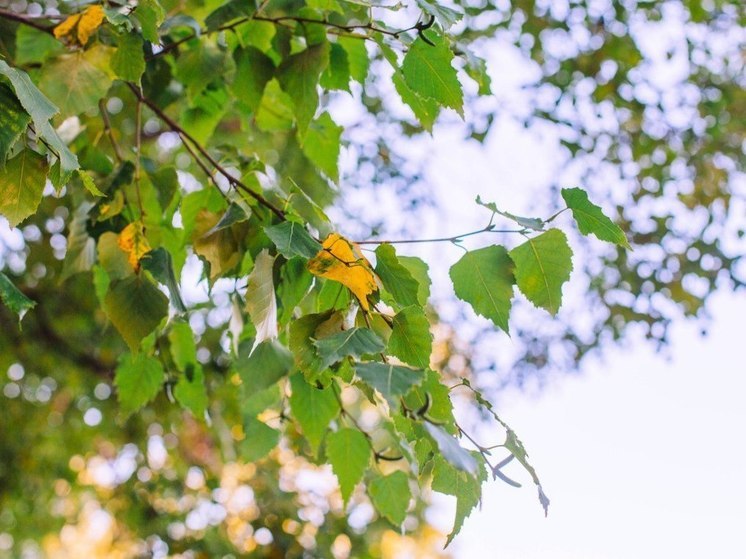 В Амурской области объявлено штормовое предупреждение