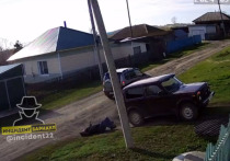В селе Тогул на одной из улиц автомобиль сбил местного жителя. Как рассказала его дочь в тг-канале «Инцидент Барнаул», это было не случайное ДТП, а умышленный наезд.  