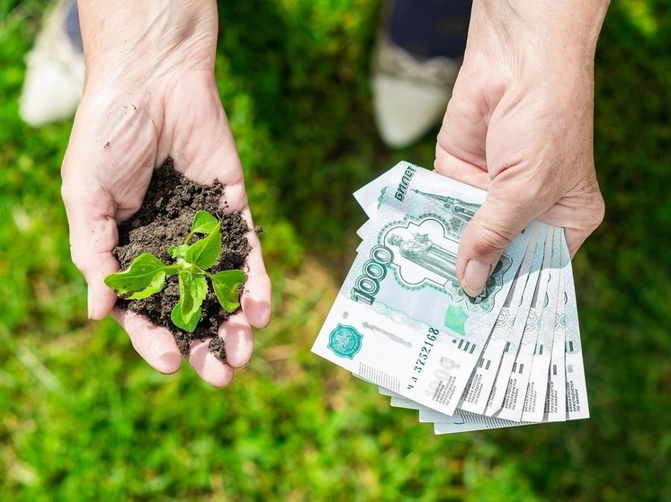 На поддержку сельхозкооперативов в Башкирии направят 24 млн рублей