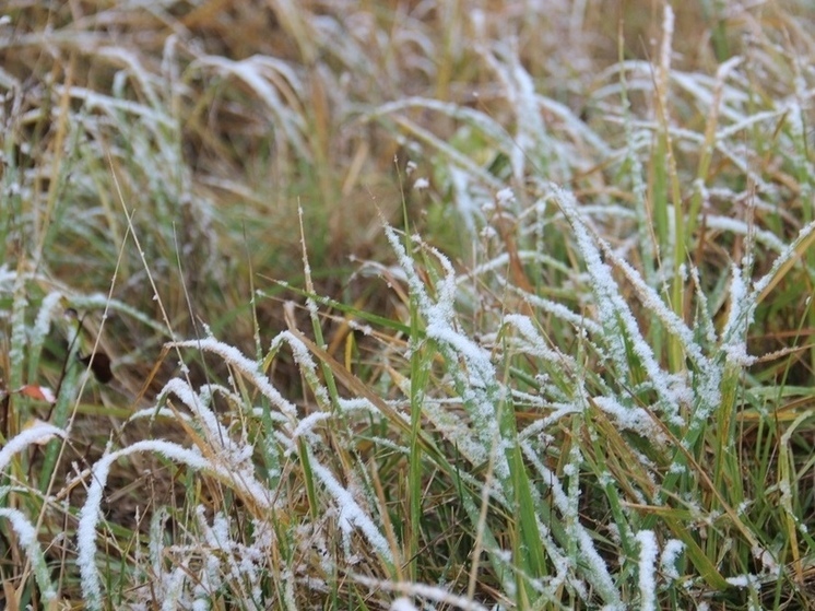 Жителей Рязанской области предупредили о трёхдневных заморозках