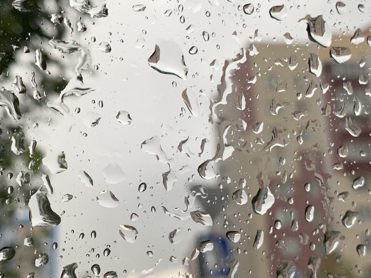 В Пензе обещают дождь 8 мая