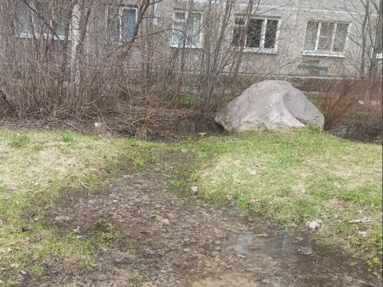 Вода из-под земли заливает двор в Петрозаводске