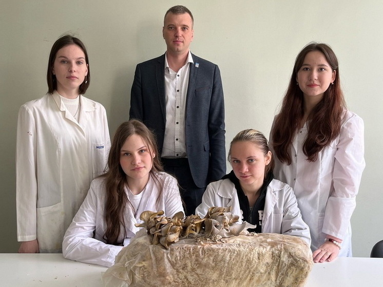 В столице Соловьиного края студенты Курского государственного университета создали проект по разработке органического удобрения на основе отходов грибных производств