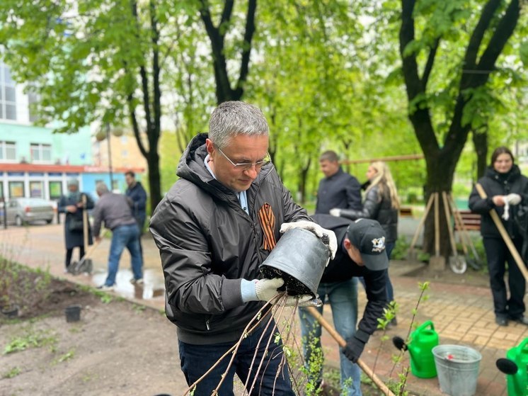Денисов под дождем сажал кусты в Калуге