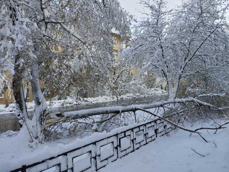 МЧС предупредило о снегопаде, дожде и сильном ветре в Свердловской области