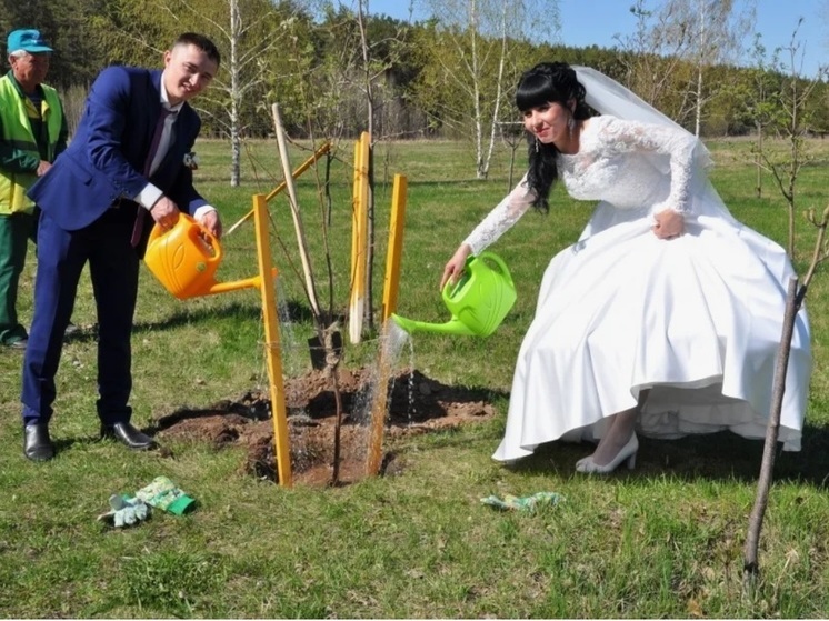 Мэр Ярославля предложил ярославцам после регистрации брака сажать деревья
