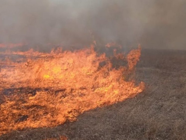 23 лесных пожара ликвидировано в Иркутской области за сутки