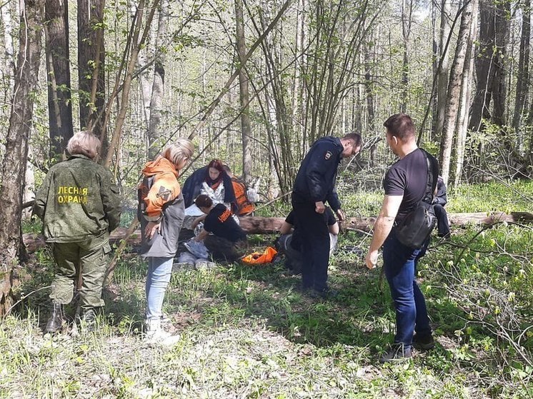 Девушка заблудилась и едва не замерзла в лесу недалеко от Коломны