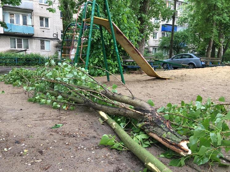 Шквалистый ветер и ливень наделали много бед в Воронеже