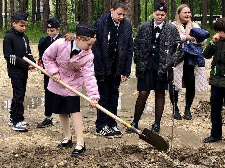 Зареченцы присоединились к акции «Сад Памяти»