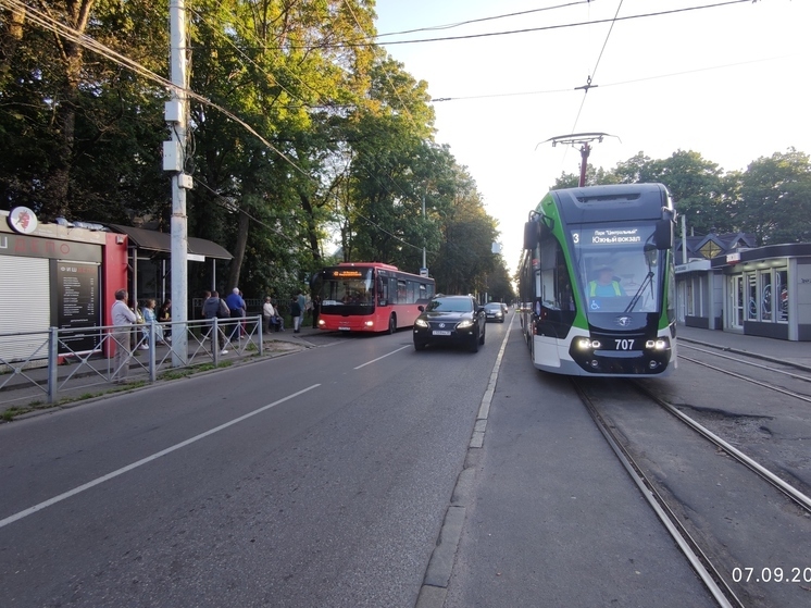 Власти Калининграда планируют закупить экологичные виды транспорта