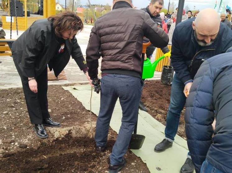Жители Форносово высадили деревья на открытии общественного пространства в поселке