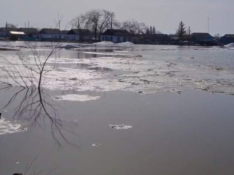 Почти 200 домов попали в зону подтопления из-за паводка в Омской области