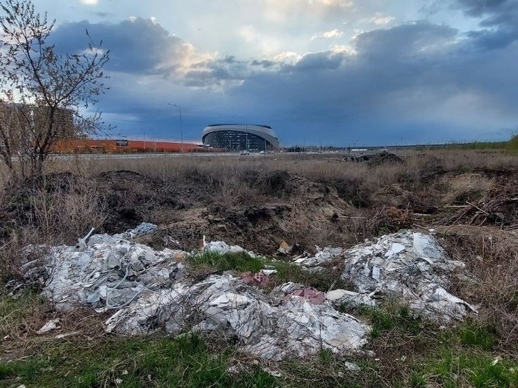 В Омской области выросли штрафы за неправильную утилизацию мусора
