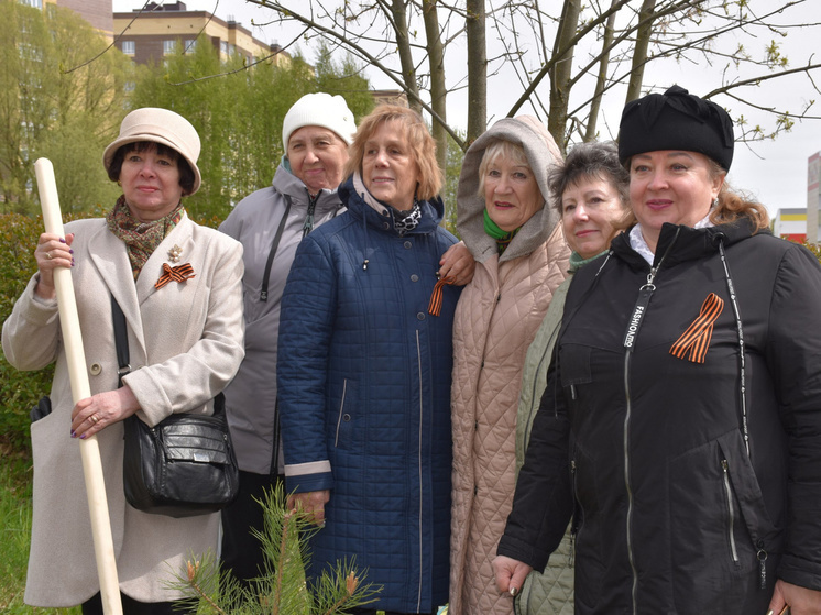 25 молодых сосен посадили костромичи в ходе акции «Сад памяти»